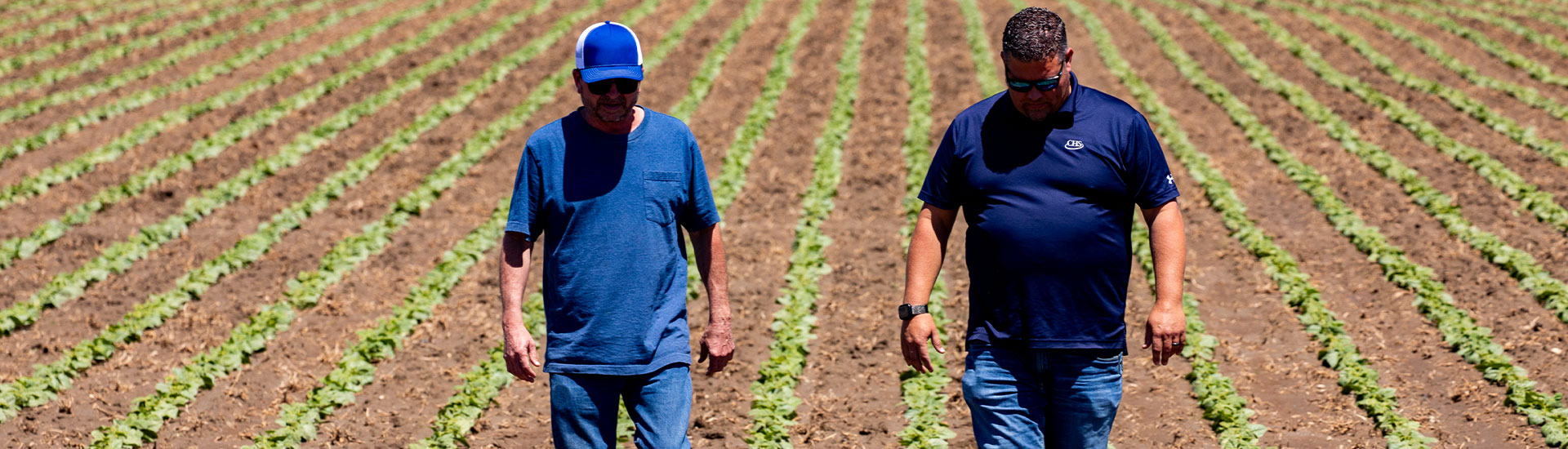 Two men walking through field
