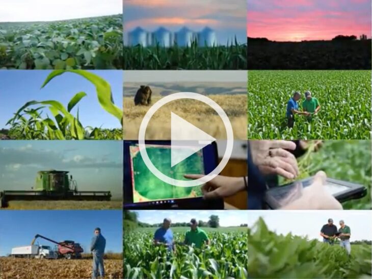 Agellum video