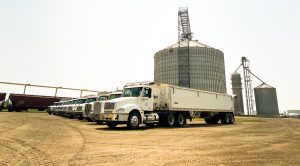 Semi trucks parked beside a silo