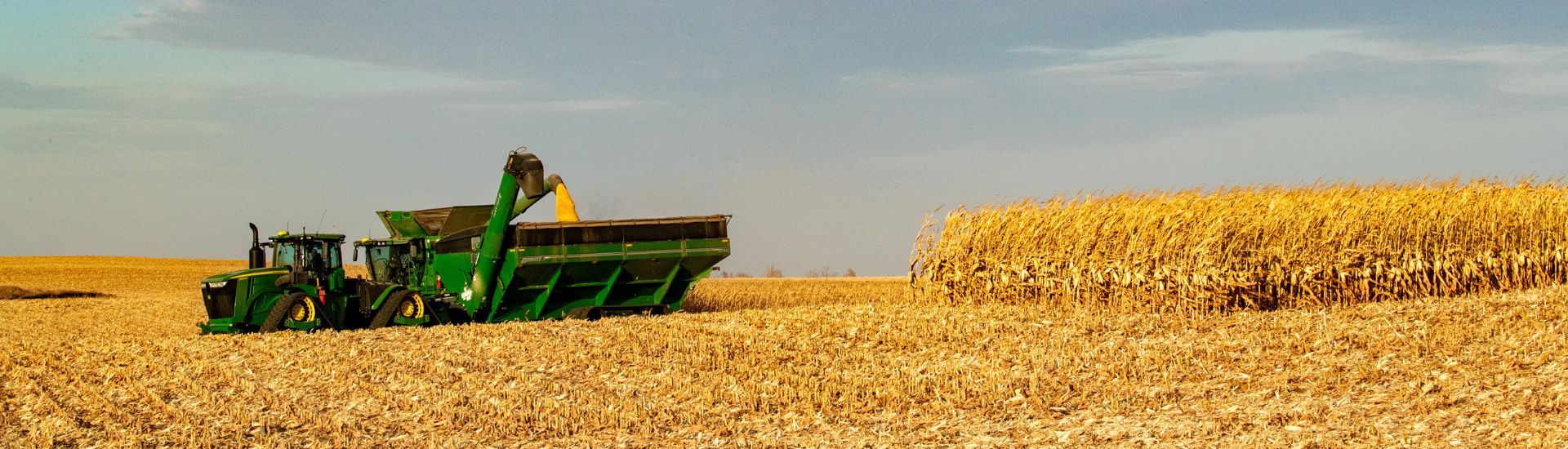 Corn being harvested and unloaded into a grain cart