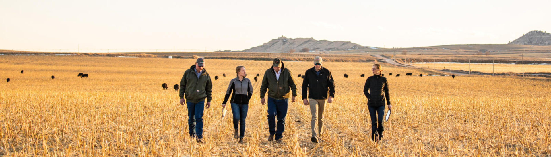 Five people walking in a field